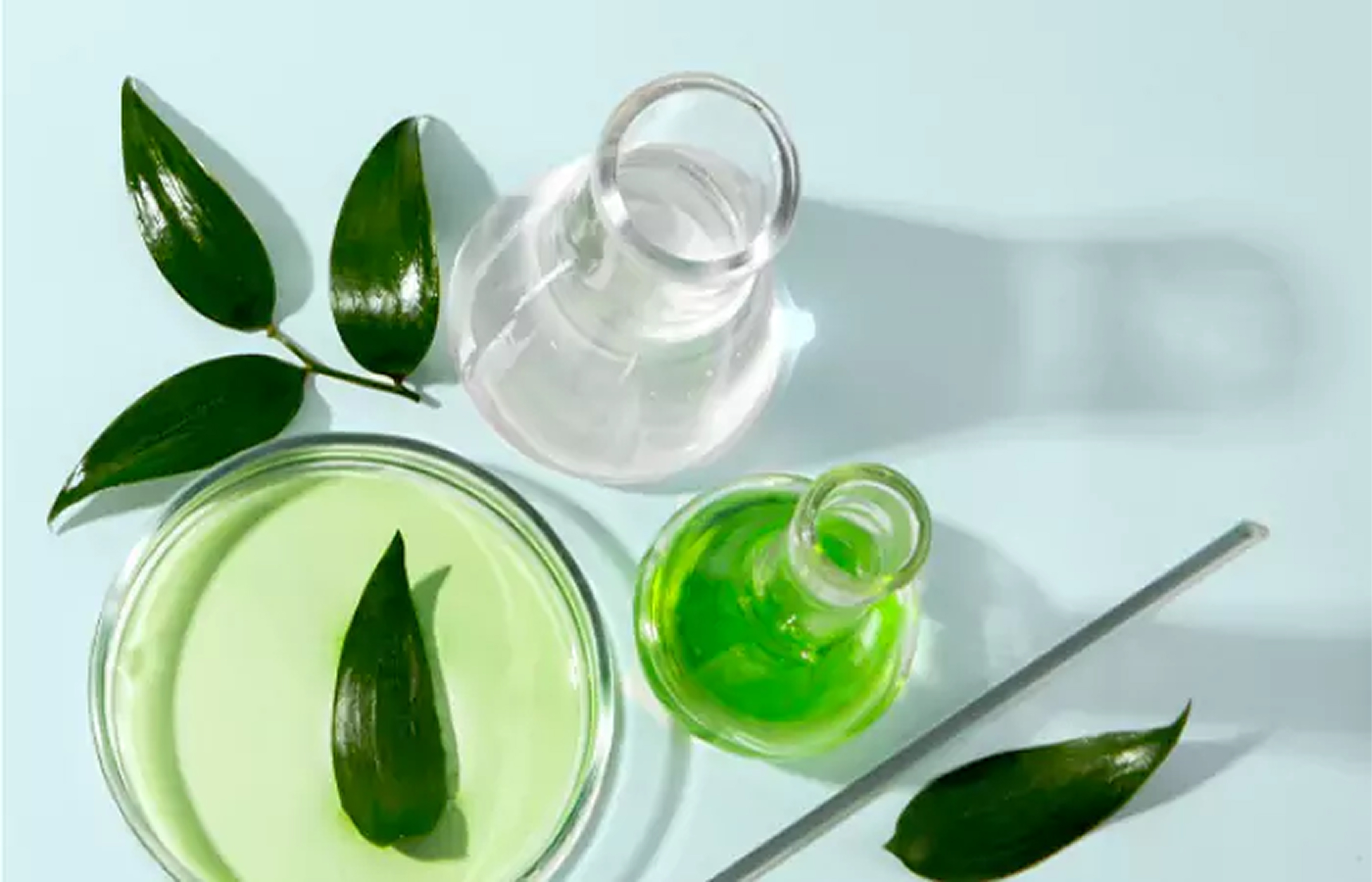 Phyto Stem Cell Research